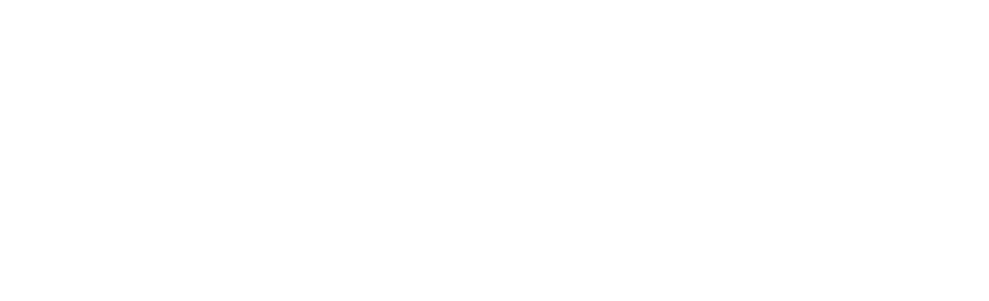 Transylvania Angels Network